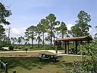 Cedar Key Scrub State Reserve