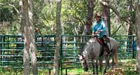 Cedar Ridge Ranch