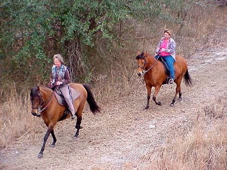 Nature Coast State Trail